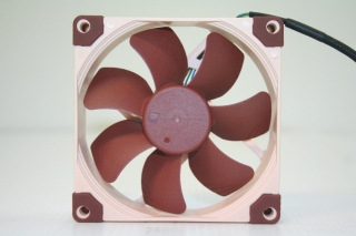 Noctua A new 00010