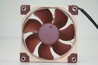 Noctua A new 00019